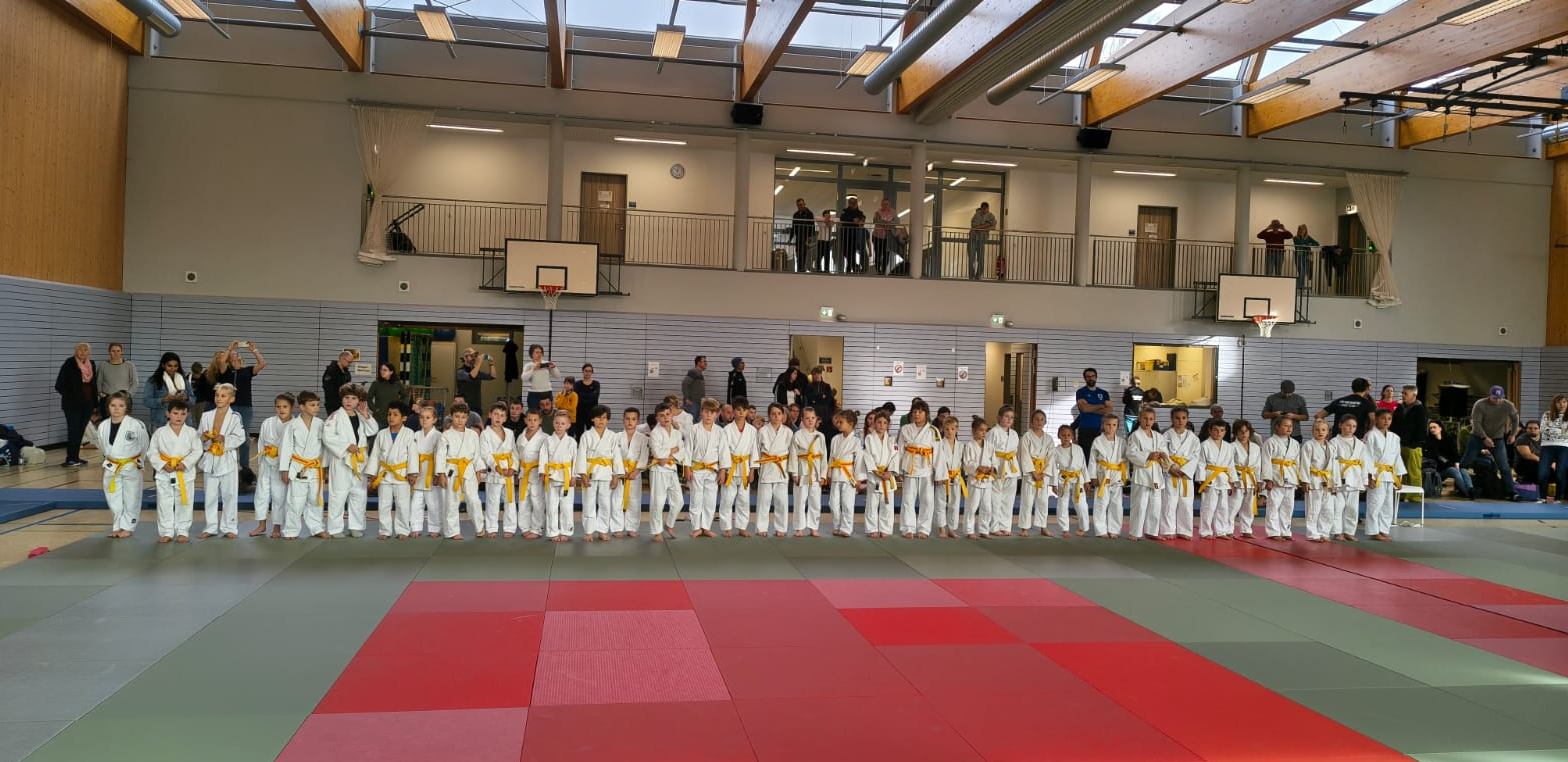 Der niederbayerische Judo-Nachwuchs der Altersklassen U9 und U11 kämpft in Mitterfels um Titel und gute Platzierungen